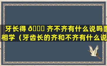 牙长得 🐋 齐不齐有什么说吗面相学（牙齿长的齐和不齐有什么说法吗）